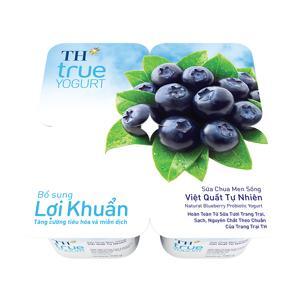 Sữa chua ăn TH True Yogurt việt quất 100g