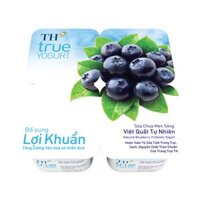 SỮA CHUA ĂN VIỆT QUẤT TH TRUE YOGURT 100GX48C