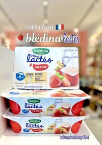 Sữa Chua Bledina Dâu 🇫🇷