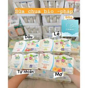 Sữa chua Bio Village Bebe (100gx4)
