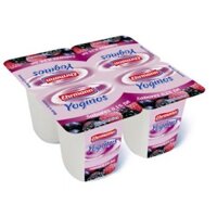 Sữa chua Ehrmann Yoginos Wildberry