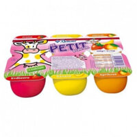 SỮA CHUA HOA QUẢ BAUER LE PETIT 55G