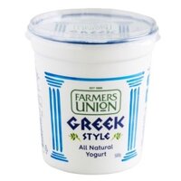 Sữa chua Hy Lạp nguyên chất Greek Style 500g