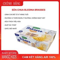 Sữa chua kem tươi Pháp Bledina Brasses cho bé từ 6m