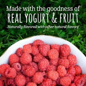 Sữa chua khô Gerber, hoa quả nhiều vị Mỹ 28g