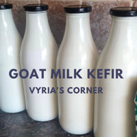 Sữa chua làm từ sữa Dê Kefir Goat Kefir rất tốt cho hệ tiêu hoá sữa chua dê