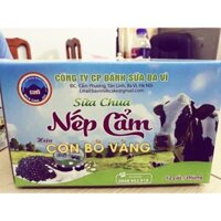 Sữa chua nếp cẩm hũ
