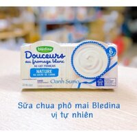 Sữa chua phô mai Bledina cho bé
