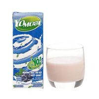 Sữa chua uống Yomost hương bạc hà việt quất hộp 170ml – Thùng 48 hộp x 170ml
