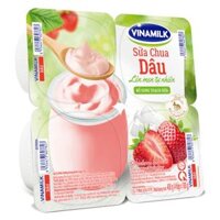 Sữa chua Vinamilk Dâu 100g