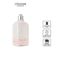 Sữa dưỡng thể hoa anh đào mịn da L'Occitane Cherry Blossom Body Lotion