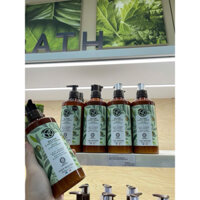 Sữa dưỡng thể Yves Rocher Oliu và Hạnh Nhân . Sản phẩm có tem nhập khẩu chính hãng - 390mlo