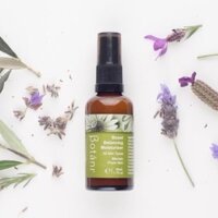 Sữa Dưỡng Và Cân Bằng Độ Ẩm – Botani Boost Balancing Moisturiser