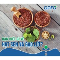 Sữa hạt dinh dưỡng Velomin - dinh dưỡng tự nhiên từ các loại hạt (hộp nhựa 500g)