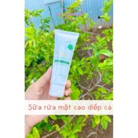Sửa rữa mặc cao diếp cá