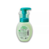 Sữa rửa mặt Hada Labo chai vòi xanh 160 ml