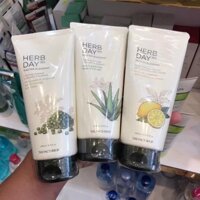 Sữa rửa mặt The Face Shop Herb Day 365