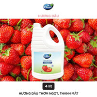 Sữa rửa tay Dr.Clean sạch khuẩn mềm dịu da tay hương trái cây thanh mát 4L