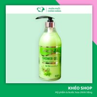 Sữa Tắm Chiếc Xuất Thảo Mộc Hoo24h Shower Gel Herbal Extract Màu Xanh - 750ml