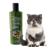 Sữa tắm cho mèo Olive Essence 450g