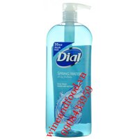 Sữa tắm Dial Spring Water diệt khuẩn 1l035