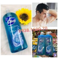 SỮA TẮM DIỆT KHUẨN MÁT LẠNH  CHO NAM  Dial Spring Water 1035ml