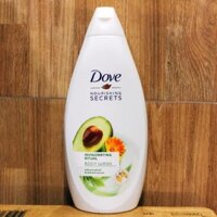 Sữa tắm Dove Body Wash 500ml-đức không xuất hóa đơn đỏ  - trái bơ