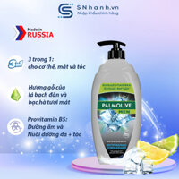 Sữa tắm gội 3in1 Palmolive Arctic Wind Nga 750ml với Provitamin B5 cho Nam