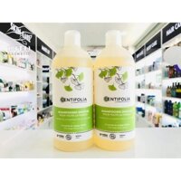 Sữa tắm gội hữu cơ Centifolia 500ml 2in1 dành cho cả gia đình - 500ml
