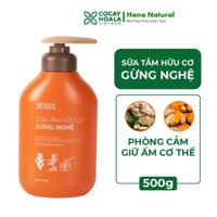 Sữa tắm hữu cơ gừng nghệ-cỏ cây hoa lá-sữa tắm thảo dược thiên nhiên cho bà bầu-500g