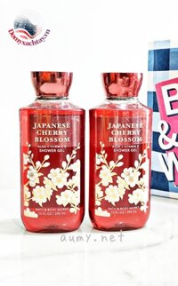 Sữa Tắm - JAPANESE CHERRY BLOSSOM- Bath & Body Works  ALOE + VITAMIN E Shower Gel 295mL