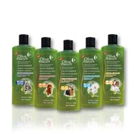 Sữa tắm Olive Essence 450ml