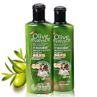 SỮA TẮM OLIVE – TRỊ VE RẬN