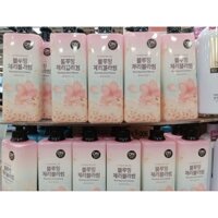 Sữa Tắm On The Body Hoa Anh Đào 900G (mẫu mới)
