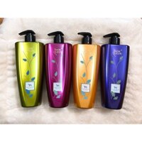 Sữa tắm show queen