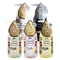 Sữa tắm Sungwon Body Care Soap dưỡng ẩm trắng da Hàn Quốc 510ml - Aloe