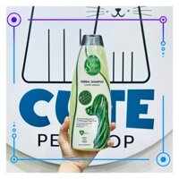 Sữa tắm thảo dược cho chó mèo Groomer's Salon Herbal Shampoo chai 544ml