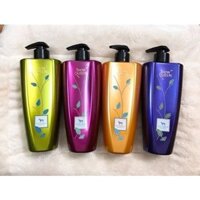 Sữa Tắm Tinh Dầu Chó Mèo SHOW QUEEN Cao Cấp - Mượt Lông, Giảm Rụng, Chiết Xuất Thiên Nhiên - 500ml