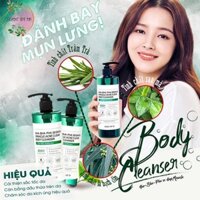 Sữa Tắm Trị và Ngừa Mụn SOME BY MI - SOME BY MI AHA-BHA-PHA 30 Days Miracle Acnes Clear Body Cleanser 400g