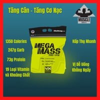 Sữa tăng cân VitaXtrong Mega Mass 12Lbs, Mass Gainer tăng cân cao cấp