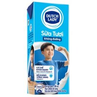 Sữa tươi Cô Gái Hà Lan không đường hộp 180ml