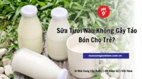 Sữa tươi nào không gây táo bón cho trẻ? [Top 5+ Lựa Chọn]