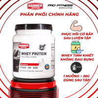 Sữa Whey Protein Hammer Nutrition 24 serving - Whey Isolate duy trì và phục hồi cơ nhanh chóng - Hộp 24 lần dùng - Strawberry