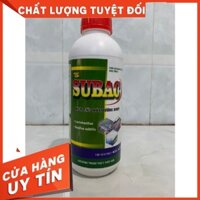 Subac men tiêu hóa đường ruột