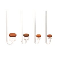 Sủi Co2 Ebi Siêu Mịn
