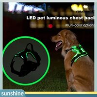 [Sun] 1 Bộ Dây nịt thú cưng phát sáng có đèn LED có thể sạc lại Dây đeo ngực thú cưng phát sáng có thể điều chỉnh để đi bộ ban đêm