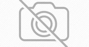 Súng bắn ghim Kanex TS-13H