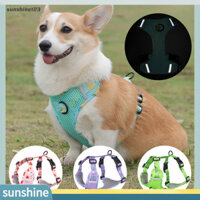 Sunshine123  Đồng phục Lực kéo thú cưng cho du lịch Dây kéo thú cưng in hình trái cây có vòng kéo