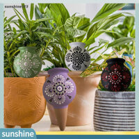 Sunshine123  Dụng cụ tưới cây môi trường Dụng cụ tưới cây trong nhà Dụng cụ tự tưới cây gai tự tưới cây cho cây trồng trong chậu Tưới tự động cho sân vườn cho sức khỏe