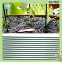 SUNTREE 12 Cái Làm Vườn Leo Núi Hỗ Trợ Cà Chua Trồng Dưa Cọc